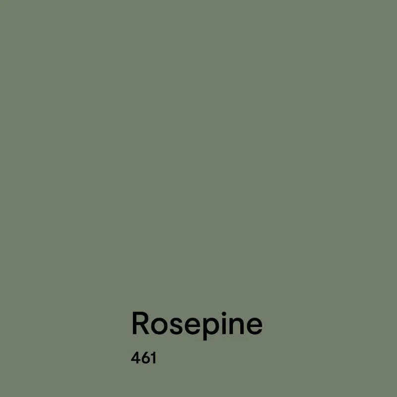 A swatch of Benjamin Moore Rosepine paint, one of the best green paint colors