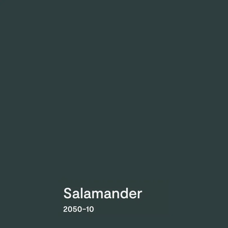 A swatch of BM Salamander paint
