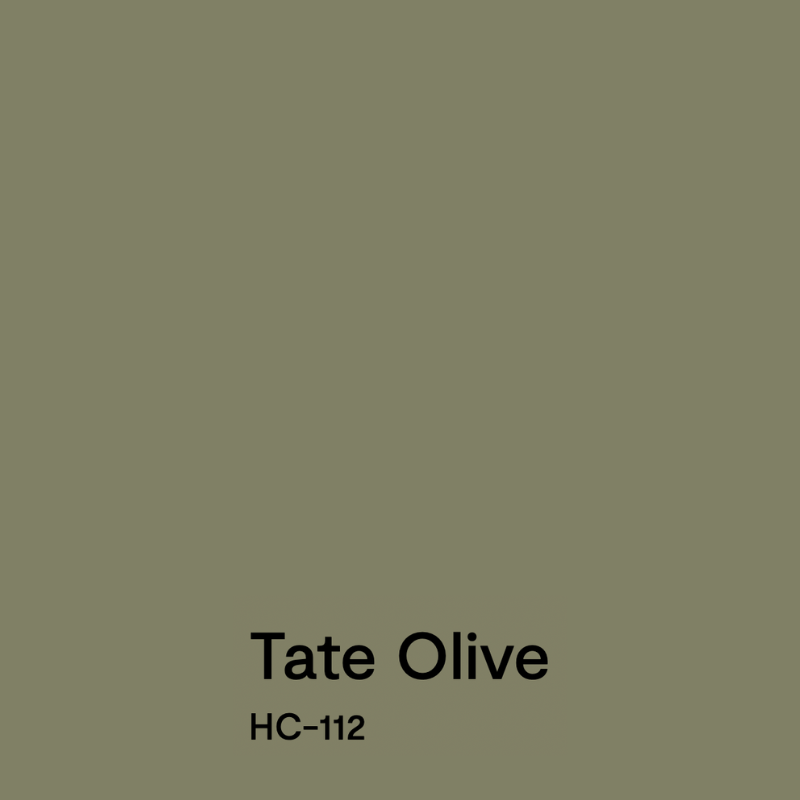 A swatch of Tate Olive paint