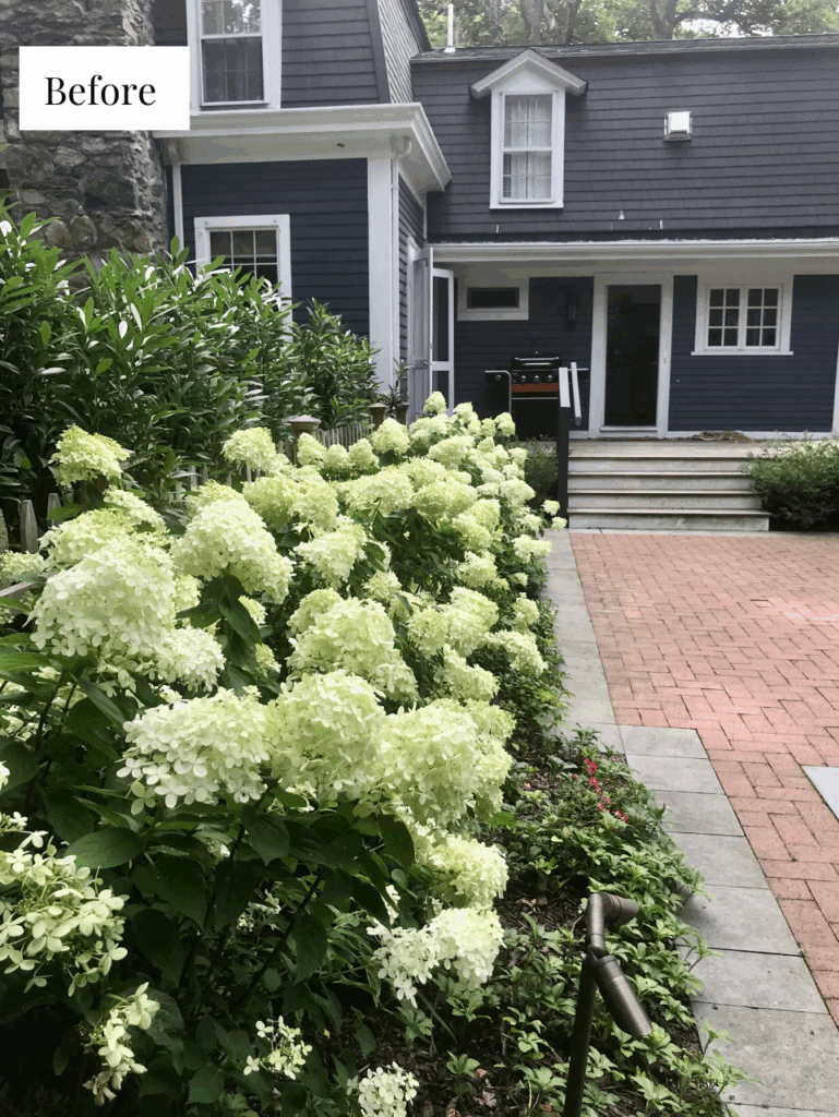 Before photo of blue historic home