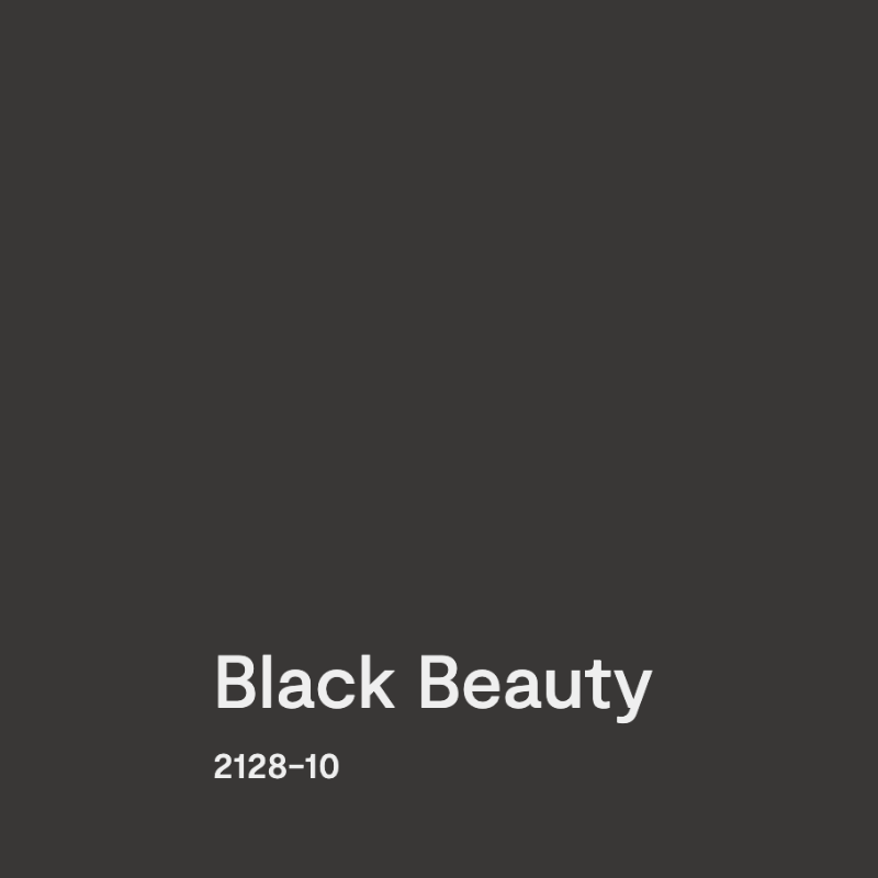 BM Black Beauty