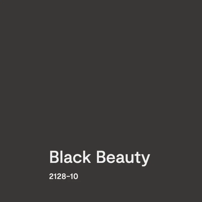 BM Black Beauty