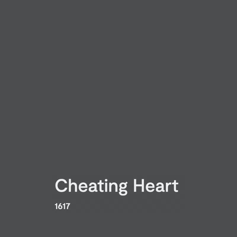 BM Cheating Heart