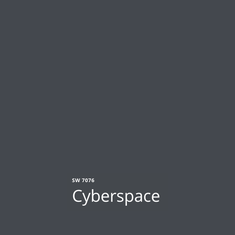 SW Cyberspace