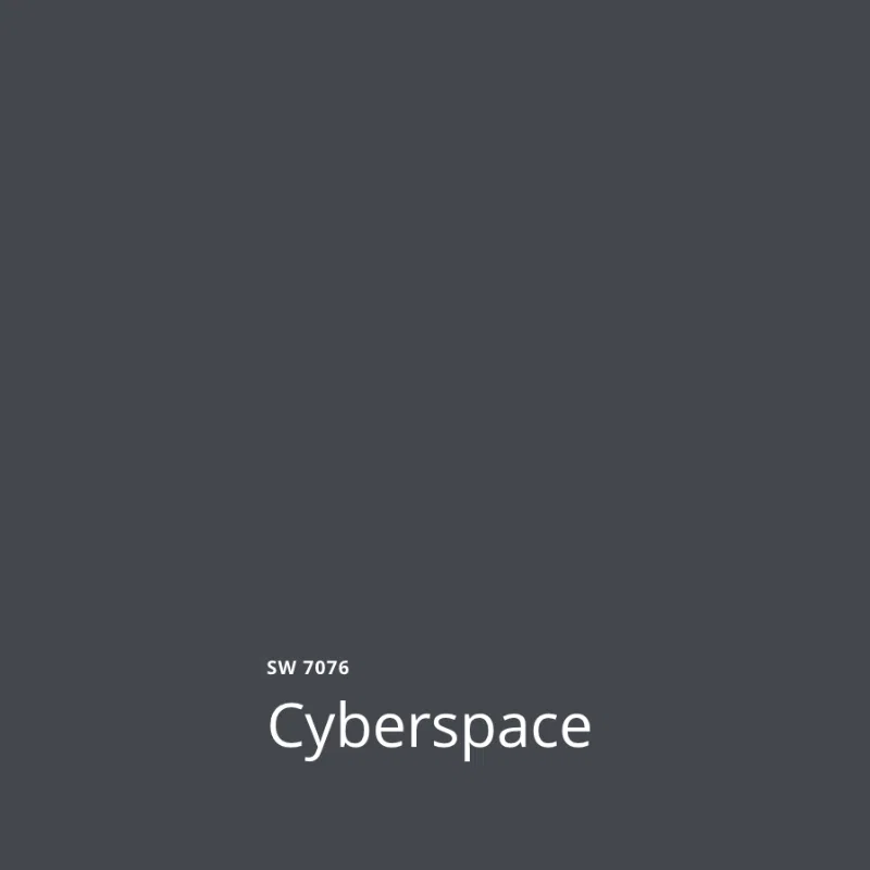 SW Cyberspace