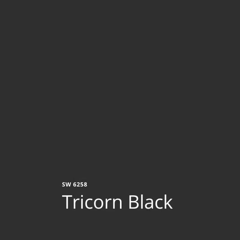SW Tricorn Black