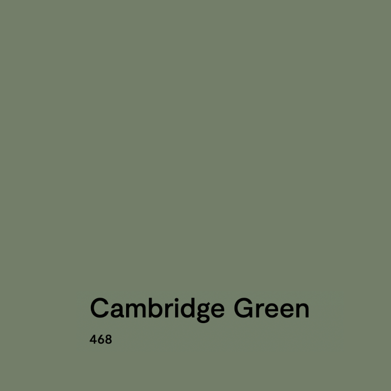 A swatch of Benjamin Moore Cambridge Green paint.