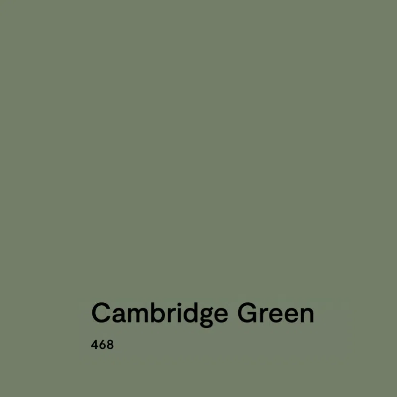 A swatch of Benjamin Moore Cambridge Green paint.