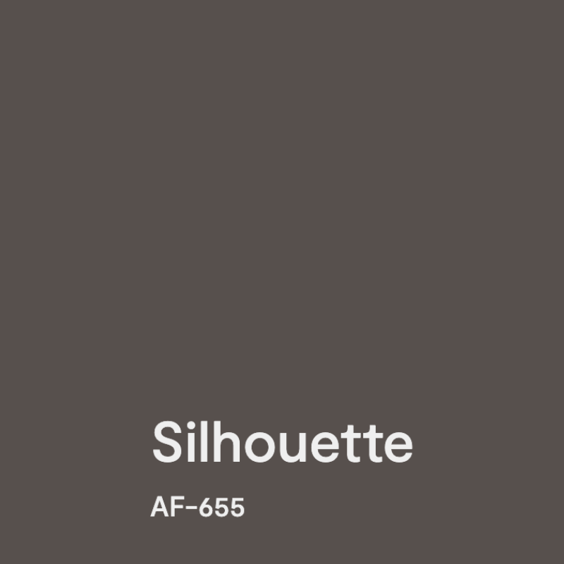 BM Silhouette paint swatch
