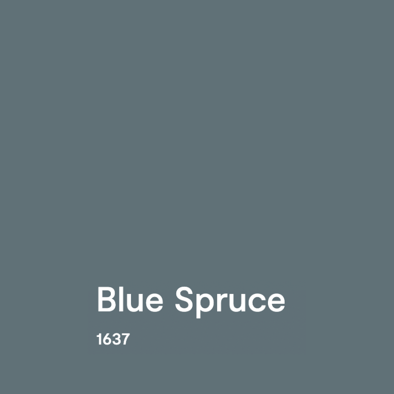 BM Blue Spruce swatch of paint