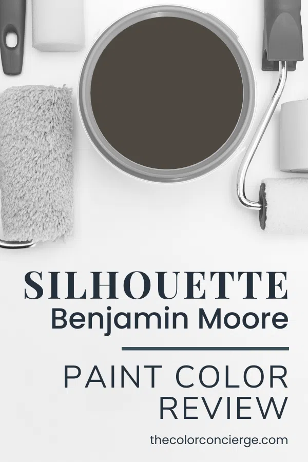 BM Silhouette paint can