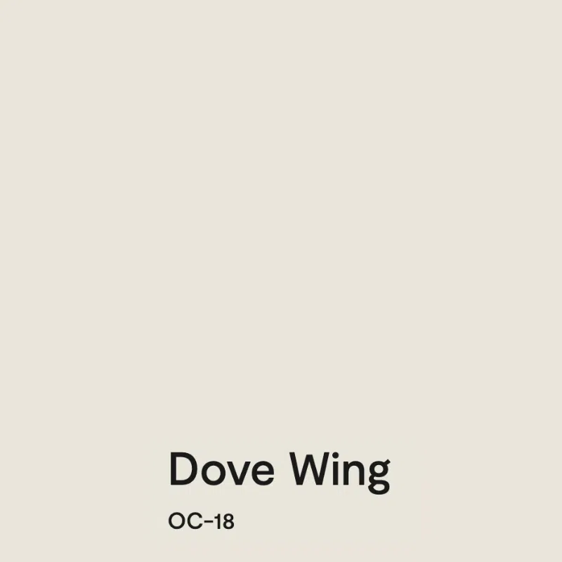 Benjamin Moore Dove Wing Swatch