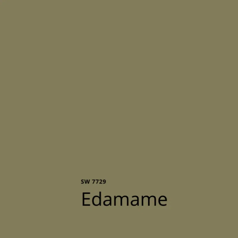 A swatch of Sherwin-Williams Edamame paint, one of the best sage green paint colors.