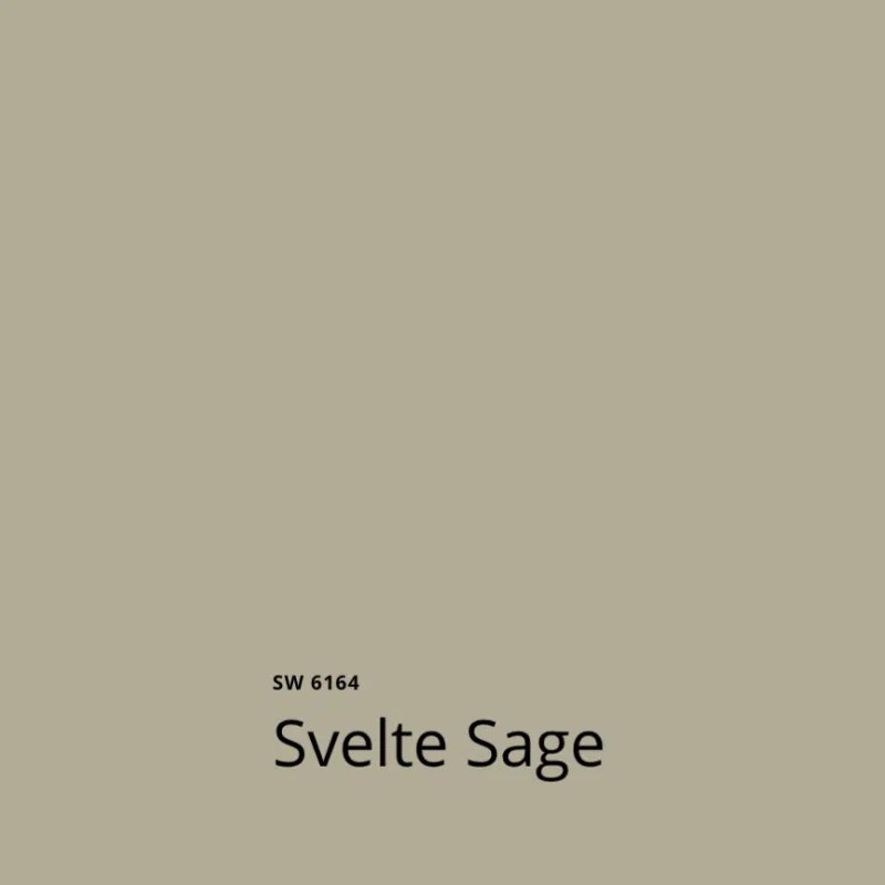 A swatch of Sherwin-Williams Svelte Sage, one of the best sage green paint colors