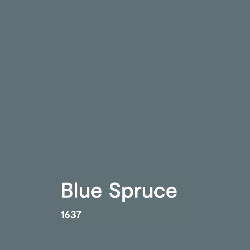 BM Blue Spruce