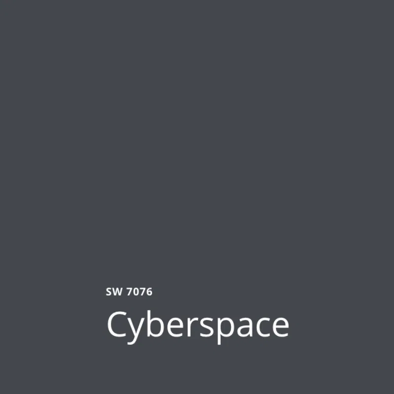 SW Cyberspace