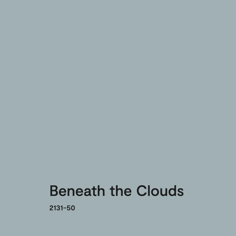 BM Beneath the Clouds
