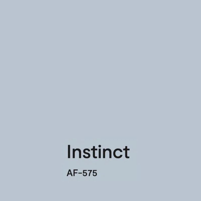 BM Instinct