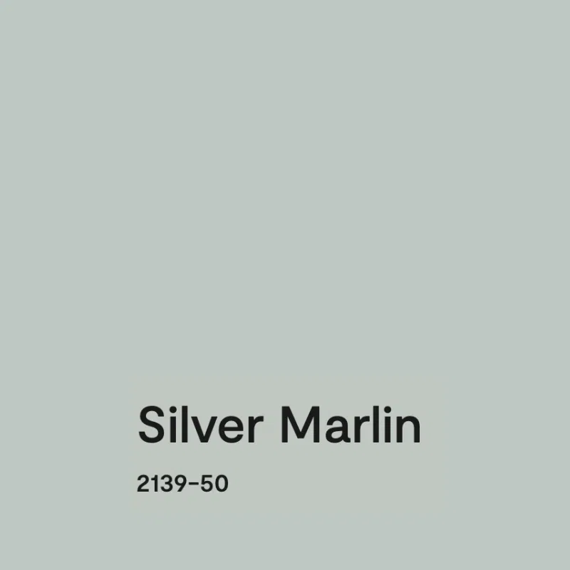 BM Silver Marlin