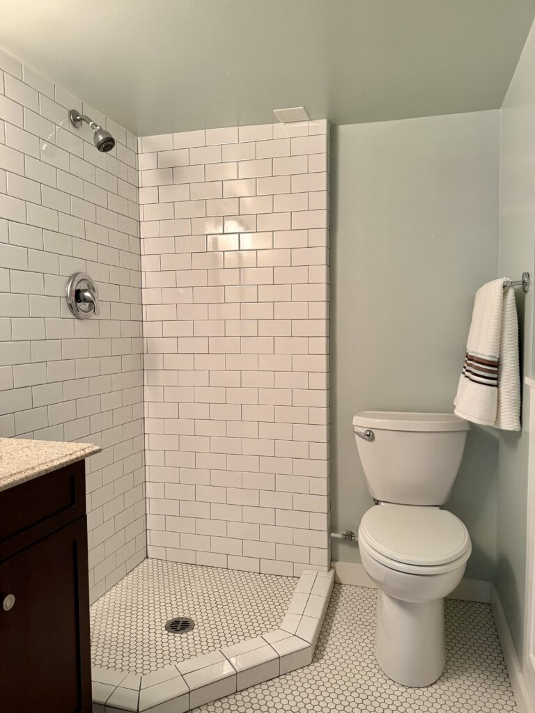 A SW Sea Salt Basement Bathroom in a BM Pale Oak color palette