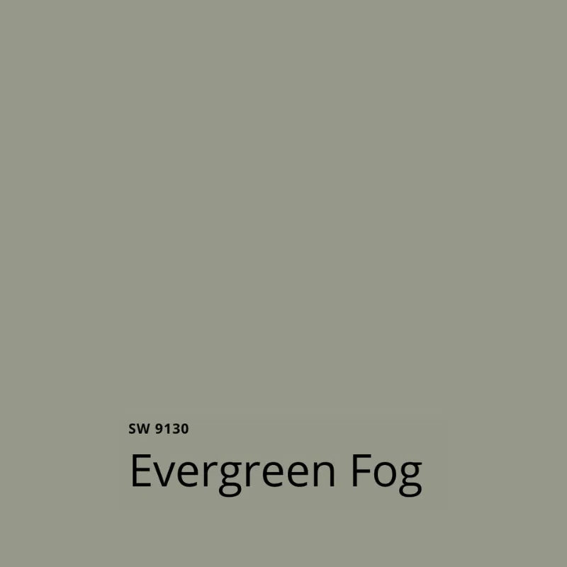 Sherwin-Williams Evergreen fog swatch