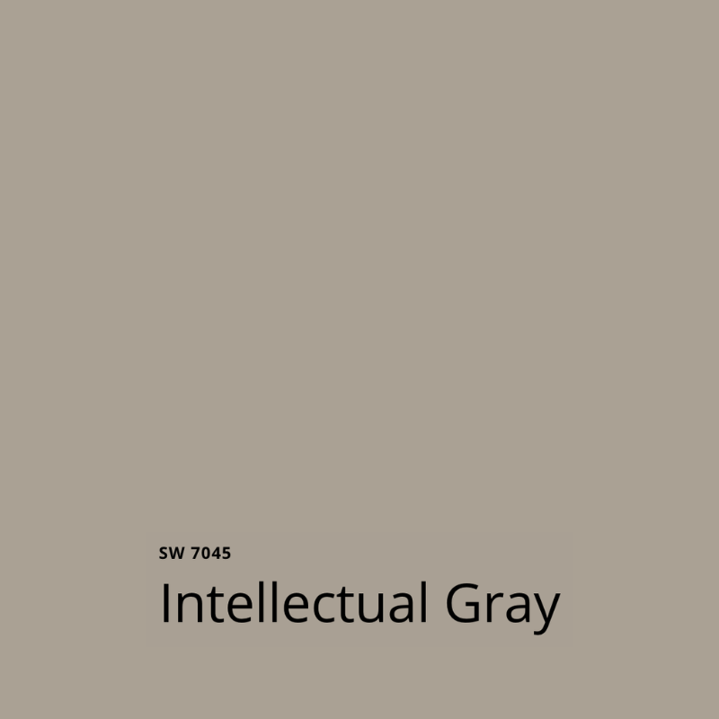 SW intellectual gray
