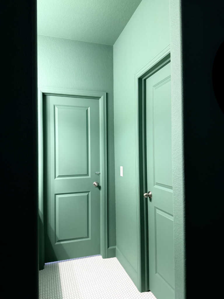 A bathroom painted with BM Webster Green, the 2027 Color of the Year, all in flat sheen.